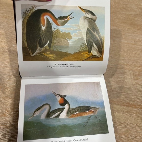 Art & Design Book Collection, Set of 6 Collector Resources - Picture 16 of 16